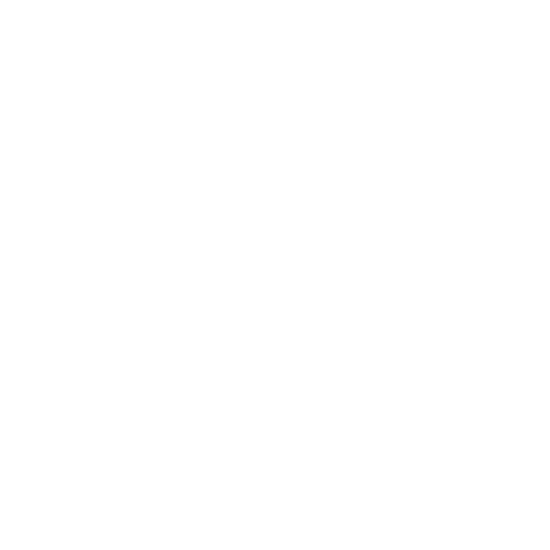 BigBEE